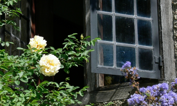 Bois des Moutiers (277) Mai 2012